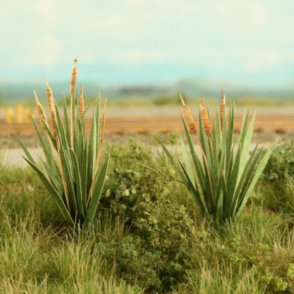 Bullrushes OO