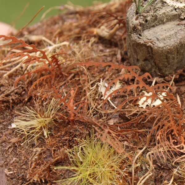 Dead Dry Fern O gauge 