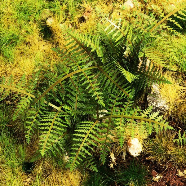 Bracken Fern 1:32 scale Model Scene VG3-030