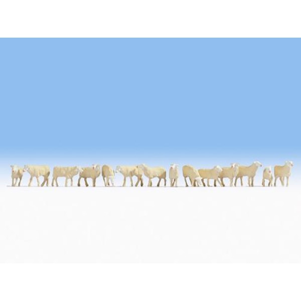 Sheep OO