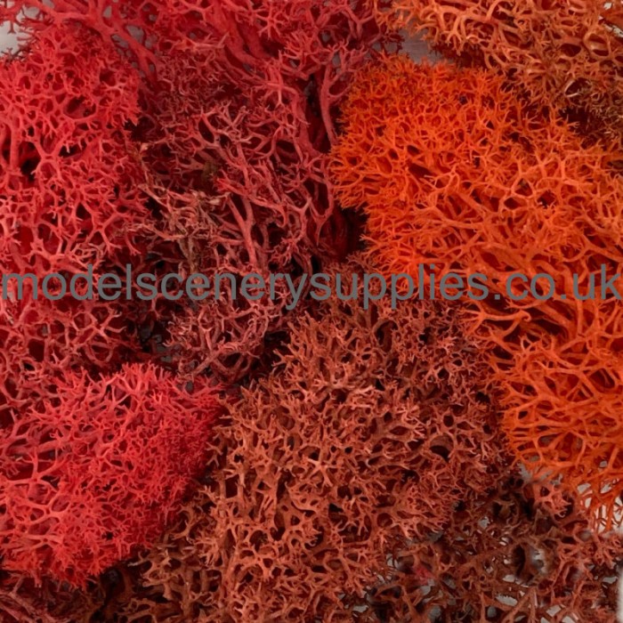 Lichen Autumn Mix 1 Natural Scenics Lichen Autumn Mix 1 Natural Scenics