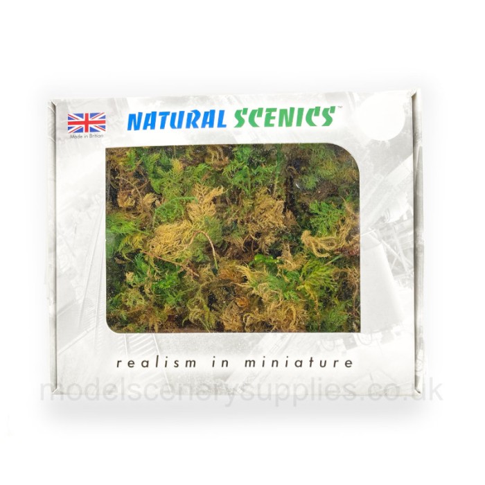 Fern Moss Bracken Fern any scale Fern Moss Bracken Fern any scale