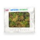 Fern Moss Bracken Fern any scale Fern Moss Bracken Fern any scale