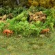 Fern Moss Bracken Fern any scale Fern Moss Bracken Fern any scale