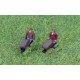 Man with Wheelbarrow Unpainted N Gauge