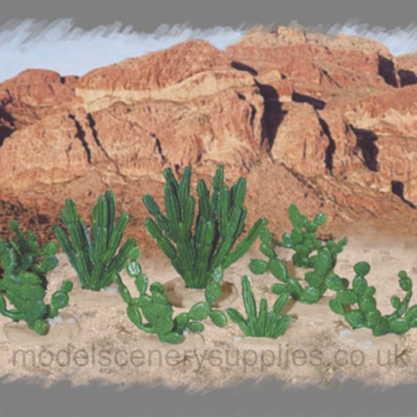Cactus