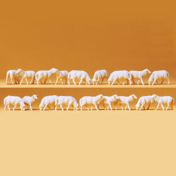 Sheep OO 