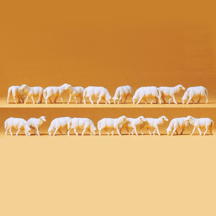 Sheep OO 