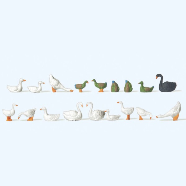Ducks  Geese  Swans OO Preiser 14167
