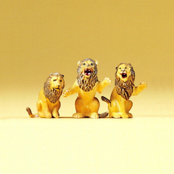 Lions OO