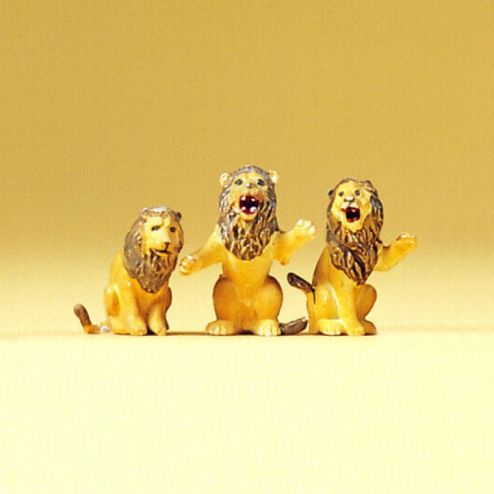 Lions OO