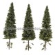 Spruce Trees with dead branches 150mm tall Spruce Trees with dead branches 150mm tall