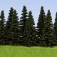 Spruce Trees 50mm tall Model Scene SM050 Spruce Trees 50mm tall Model Scene SM050