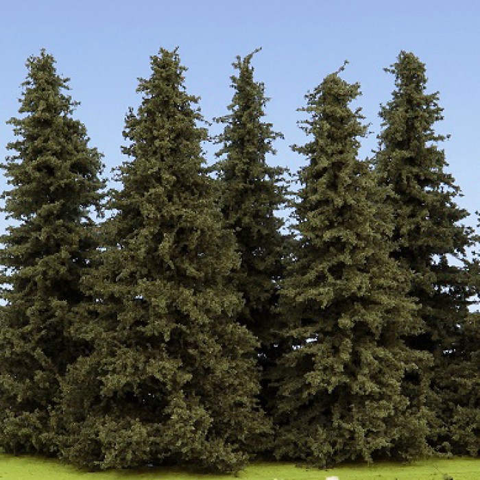 Spruce Trees 100mm tall Model Scene SM100 Spruce Trees 100mm tall Model Scene SM100
