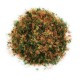 Autumn Foliage Nylon Scatter Autumn Foliage Nylon Scatter