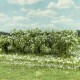 Bushes White Flowering 30mm Tall Silhouette 252-25 Bushes White Flowering 30mm Tall Silhouette 252-25