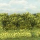 Bushes Yellow Flowering Gorse 30mm Tall Silhouette 252-26 Bushes Yellow Flowering Gorse 30mm Tall Silhouette 252-26