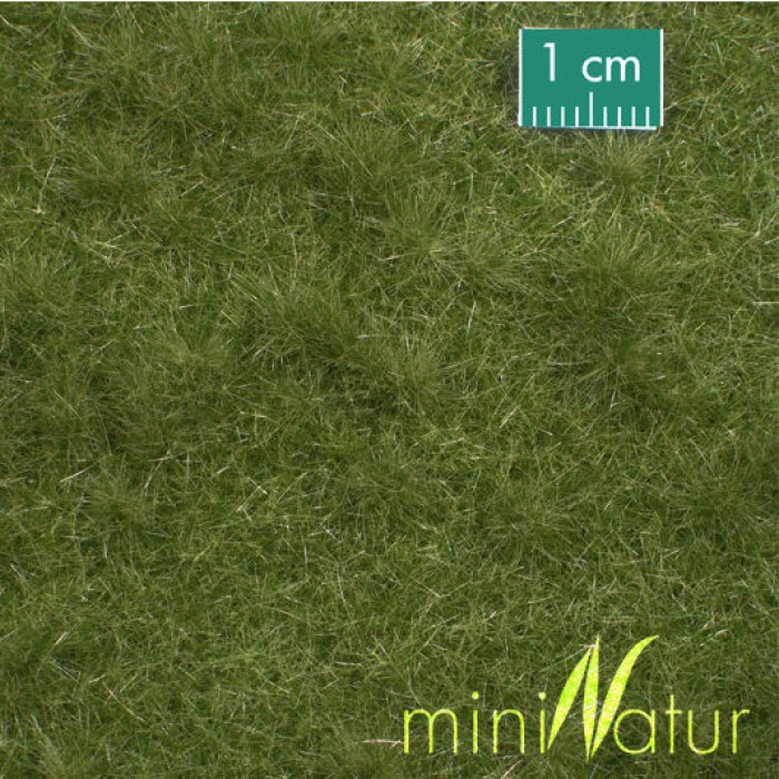 Landscape Mat Grass, Cattle Pasture Early Autumn miniNatur 713-23 Landscape Mat Grass, Cattle Pasture Early Autumn miniNatur 713-23
