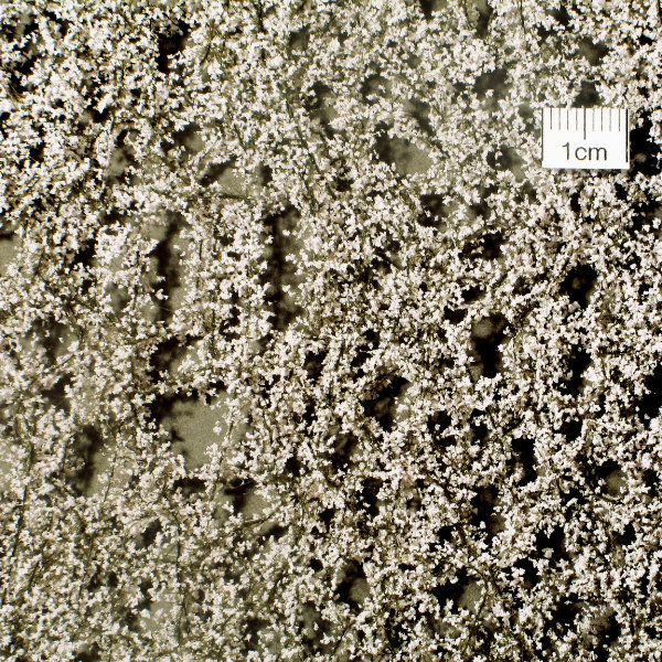 Small Blossom Foliage Sheet MiniNatur 927-21