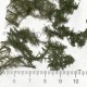 Ground cover Bracken Fern LIGHT miniNatur 993-22 Ground cover Bracken Fern LIGHT miniNatur 993-22