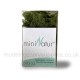 Ground cover Bracken Fern LIGHT miniNatur 993-22 Ground cover Bracken Fern LIGHT miniNatur 993-22