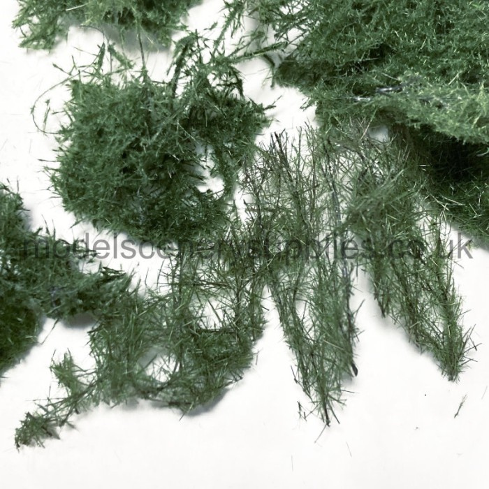Ground cover Bracken Fern MIX miniNatur Ground cover Bracken Fern MIX miniNatur