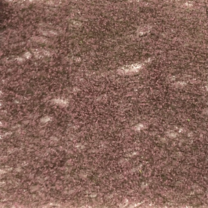 Copper Beech Fine Foliage Sheet MiniNatur 922-12 Copper Beech Fine Foliage Sheet MiniNatur 922-12