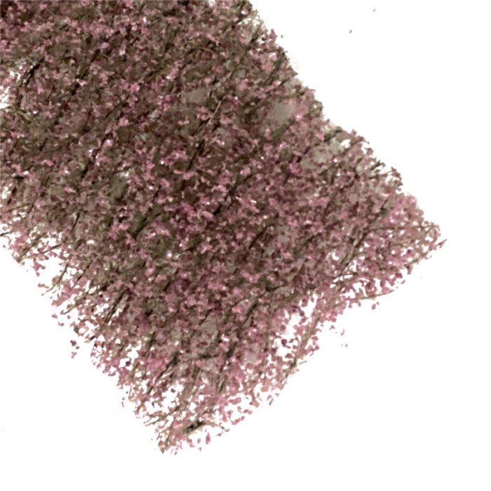 Copper Beech Fine Foliage Sheet MiniNatur 922-12 Copper Beech Fine Foliage Sheet MiniNatur 922-12