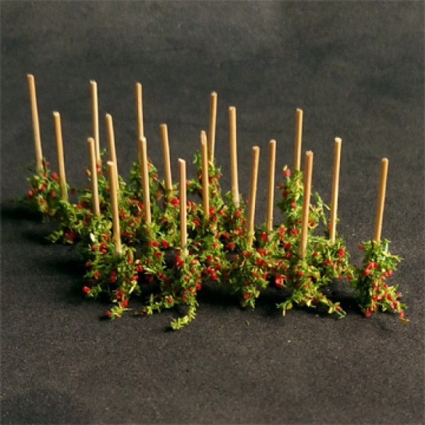 Tomato Plants N Gauge