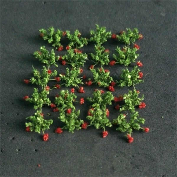 Strawberry Plants Small 00913