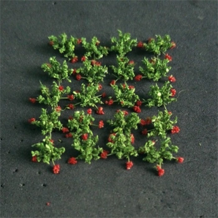 Strawberry Plants Small 00913