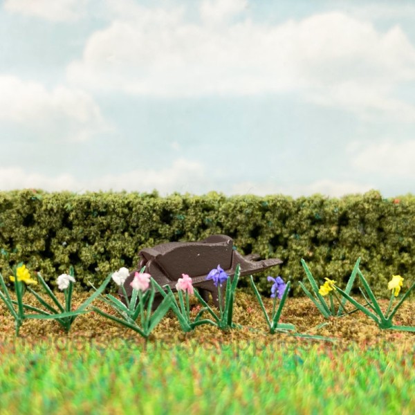 Iris plants