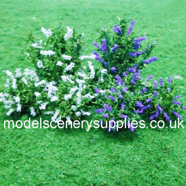 Buddleia plants N gauge