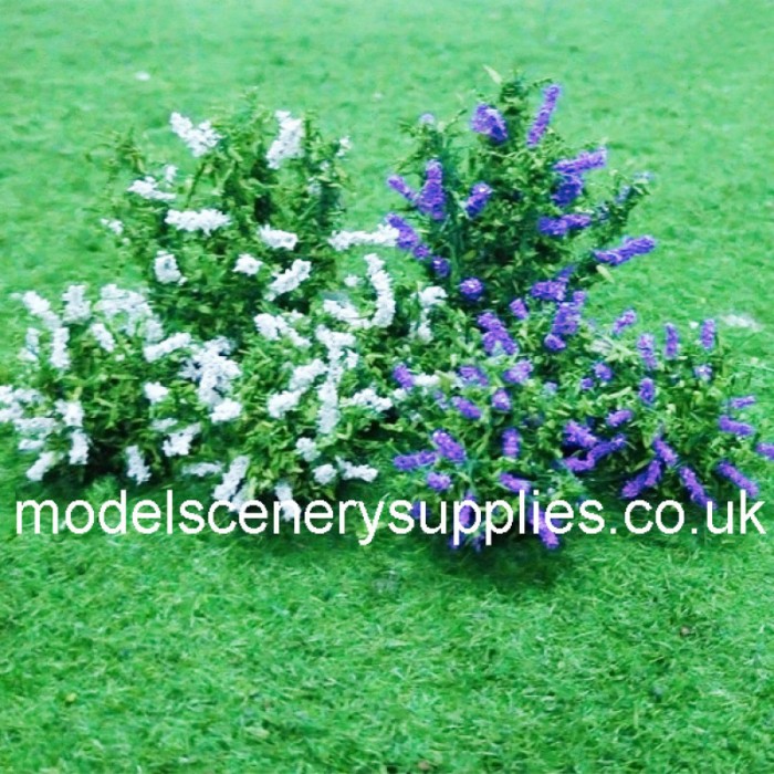 Buddleia plants N gauge