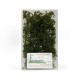 Shrub Bush Thicket Dark Green Shrub Bush Thicket Dark Green