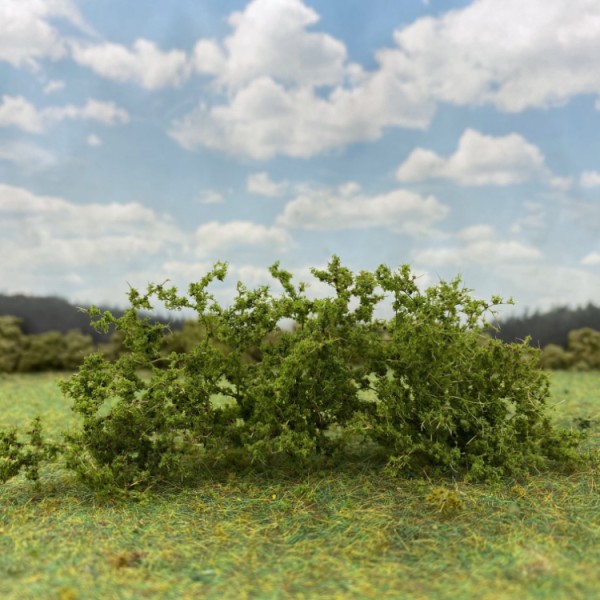Shrub Bush Thicket Light Green 