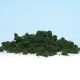 Woodland Scenics Underbrush Medium Green Woodland Scenics Underbrush Medium Green