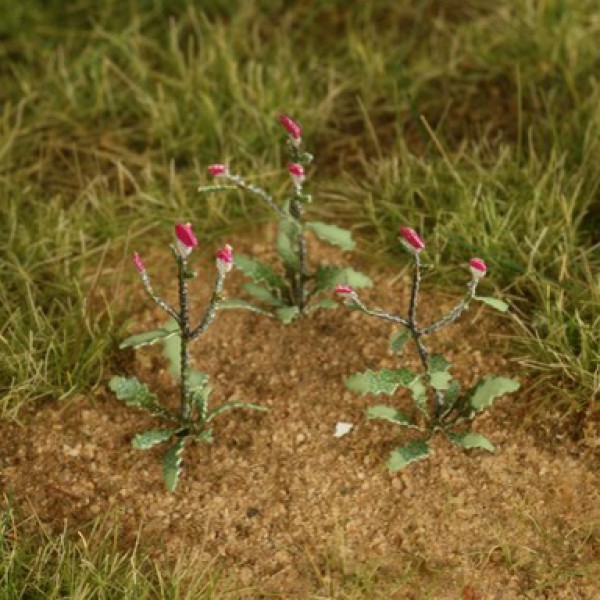 Thistles O Gauge