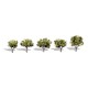 Woodland Scenics Sun Kissed Trees 40mm Tall TR3502