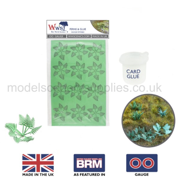Ferns 24 pack OO