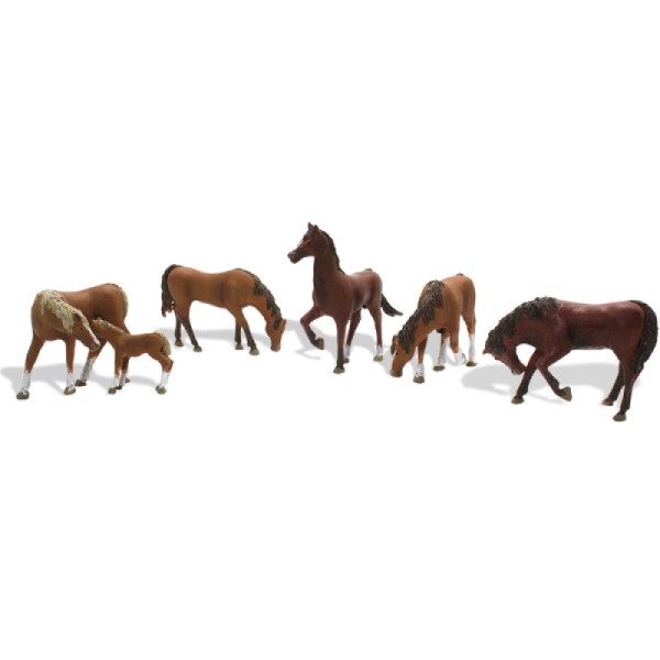 Horses OO