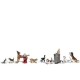 Cats and Dogs N gauge