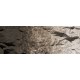 Earth Pigment Raw Umber C1221
