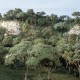 Forest Canopy Light Green kit Forest Canopy Light Green kit