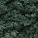 Woodland Scenics FC59 Foliage Clusters  Dark Green