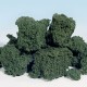 Woodland Scenics FC59 Foliage Clusters  Dark Green