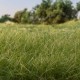 Static Grass Medium Green 2mm Woodland Scenics FS614 Static Grass Medium Green 2mm Woodland Scenics FS614