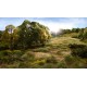 Static-Tac Static Grass Glue Woodland Scenics FS644 Static-Tac Static Grass Glue Woodland Scenics FS644