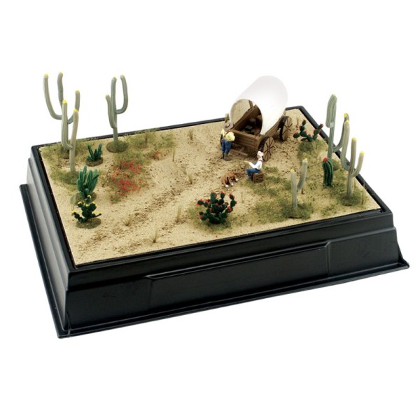 Cactus and Desert Plant Kit