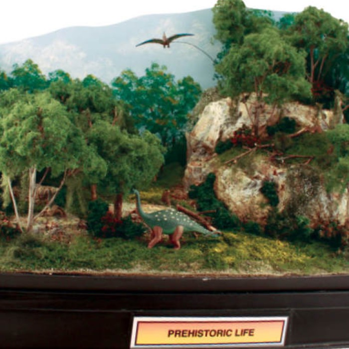 Prehistoric Dinosaurs 